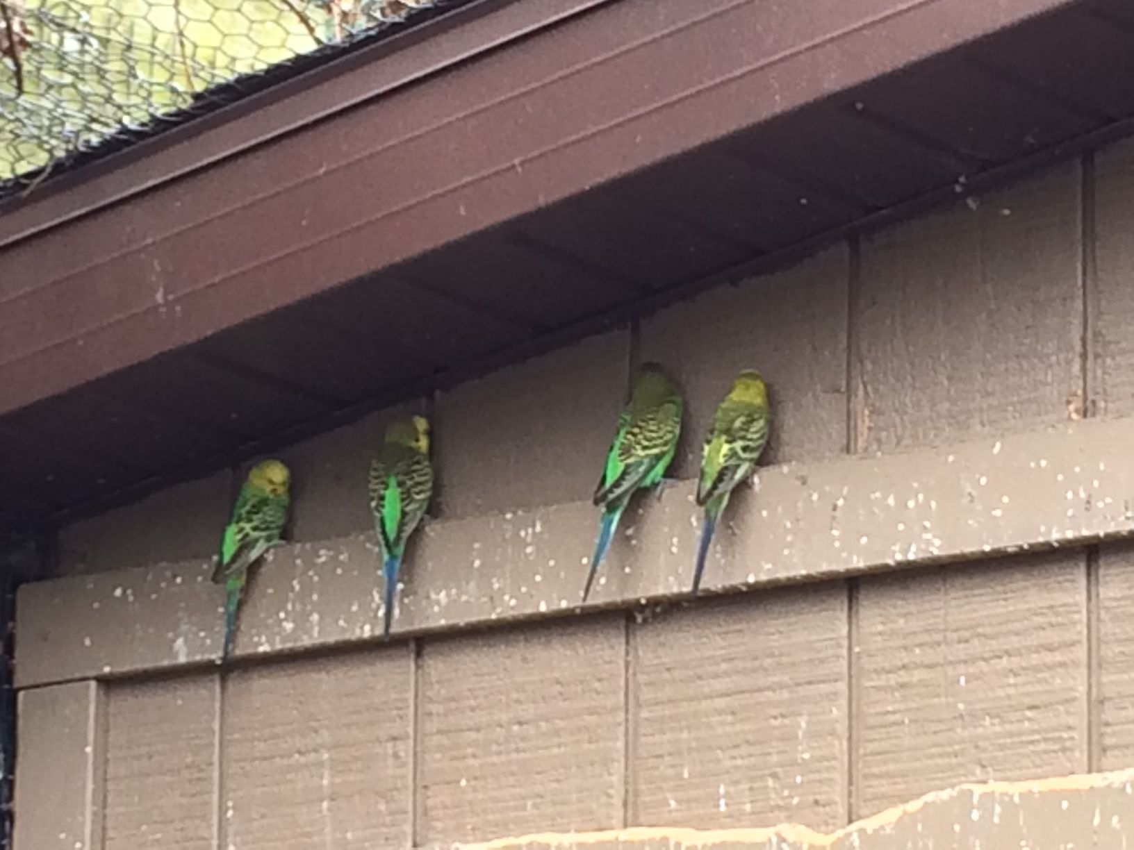 Washington Park Zoo